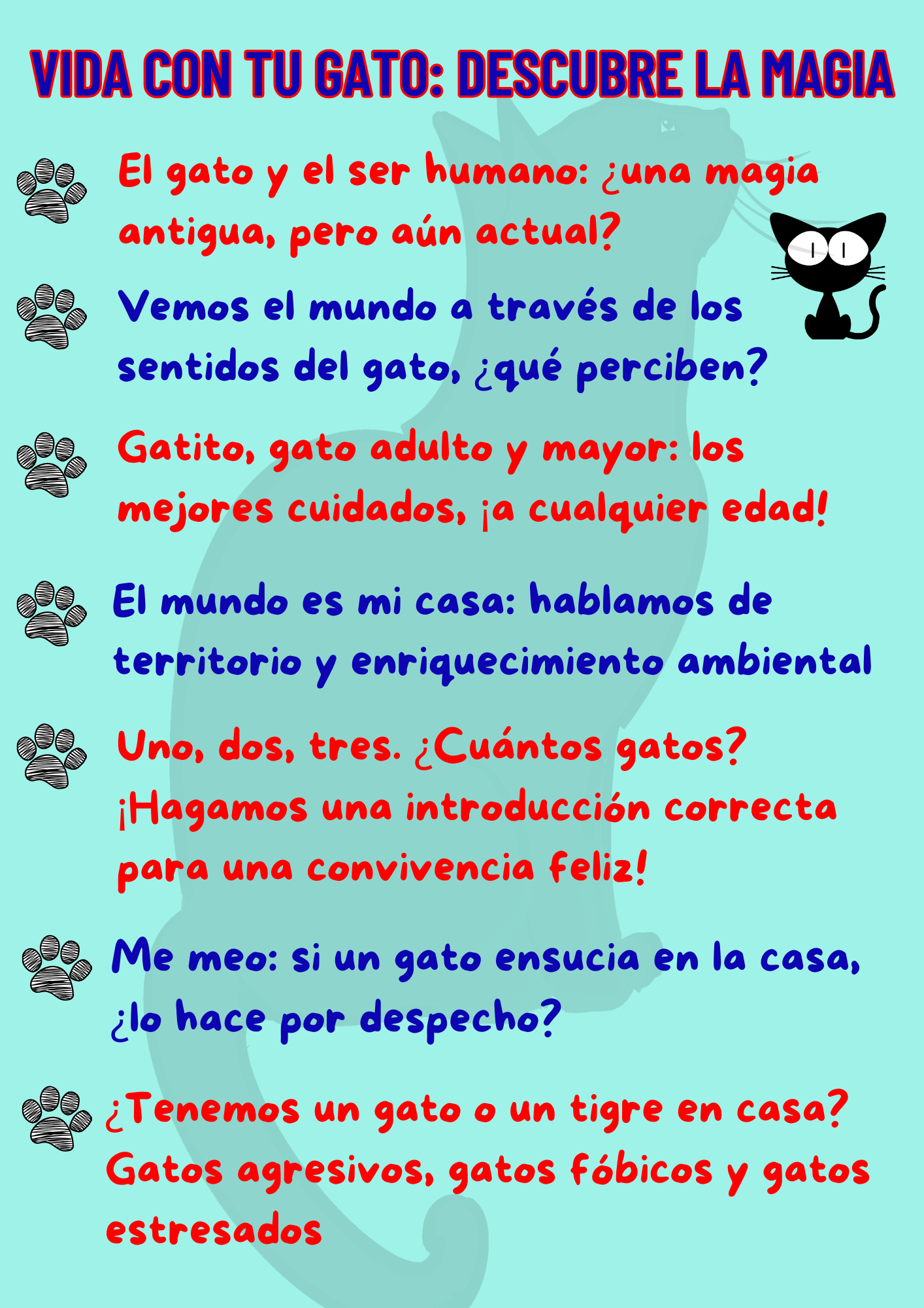 programa curso online en directo conducta gato