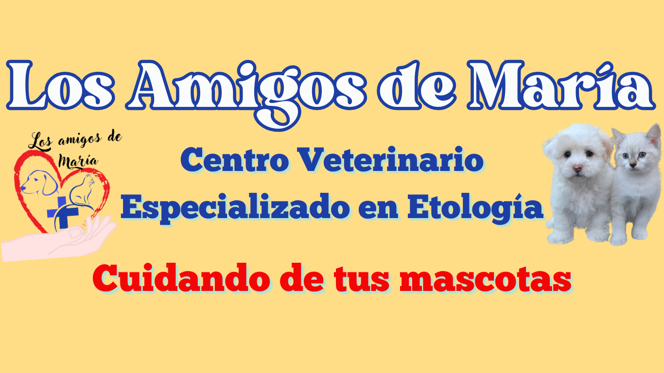 Centro Veterinario Los Amigos de María Bellavista Sevilla