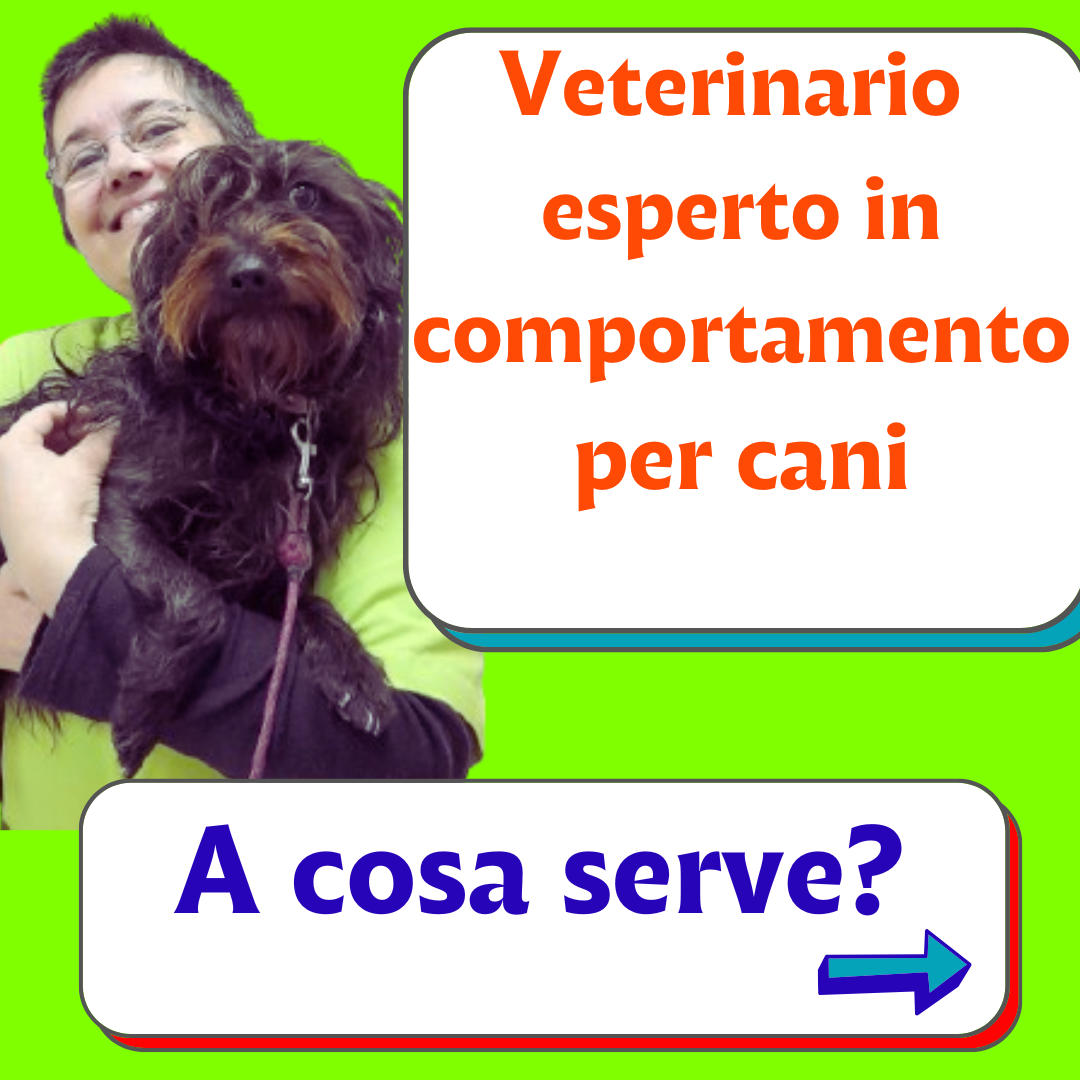 etologia canina