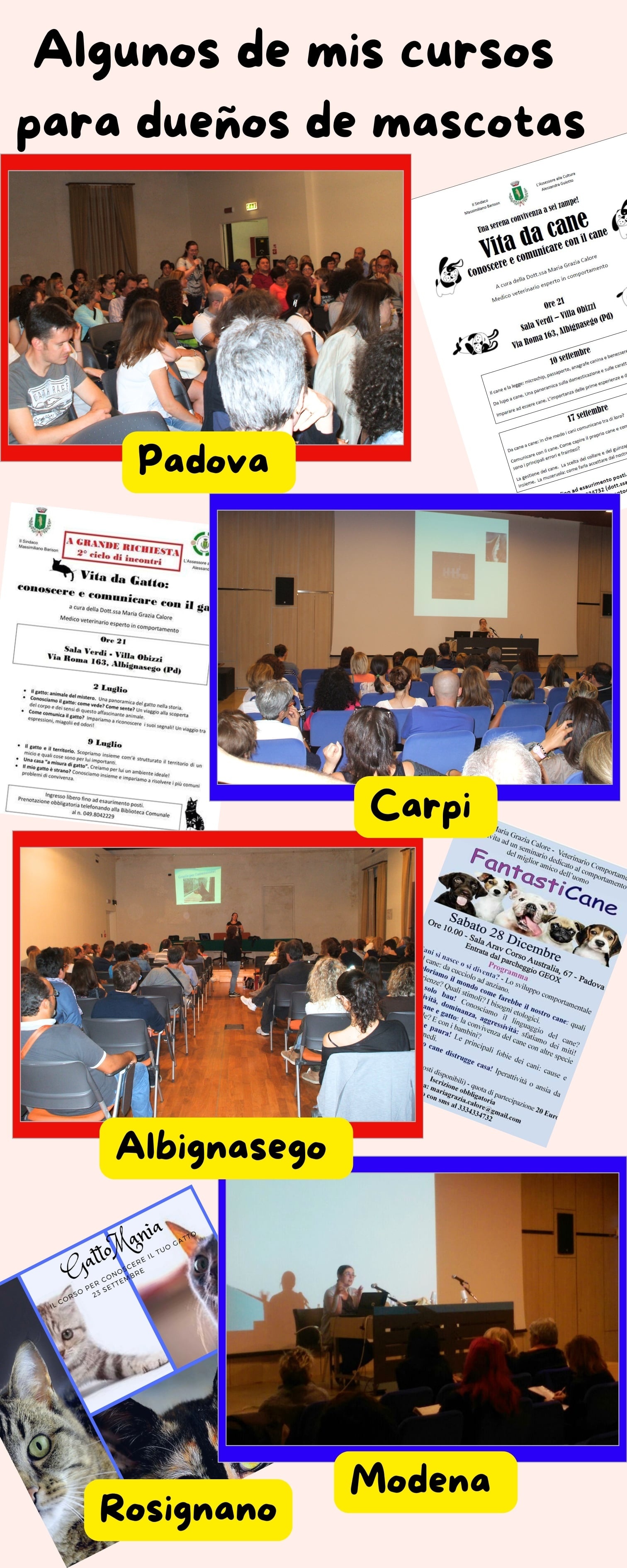 cursos