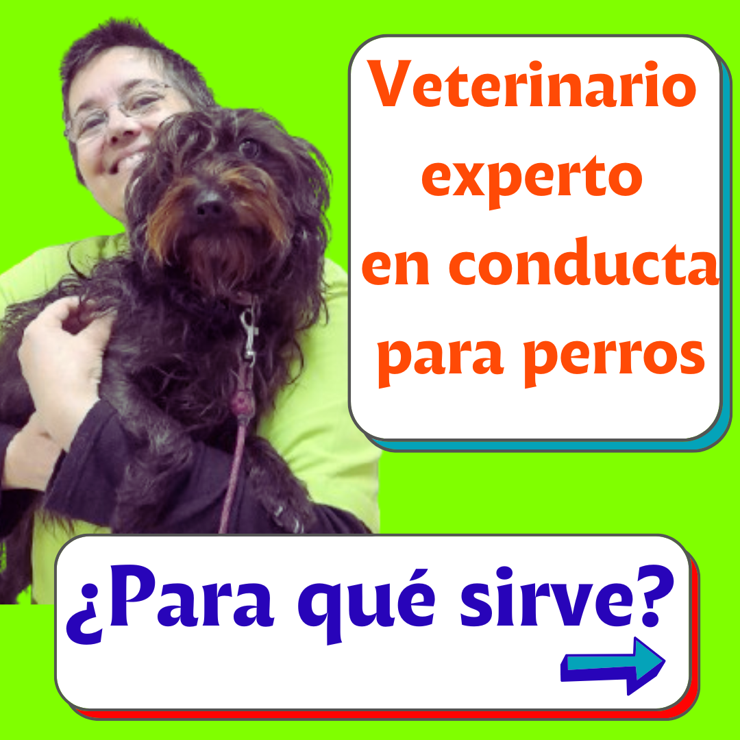 etólogo perro