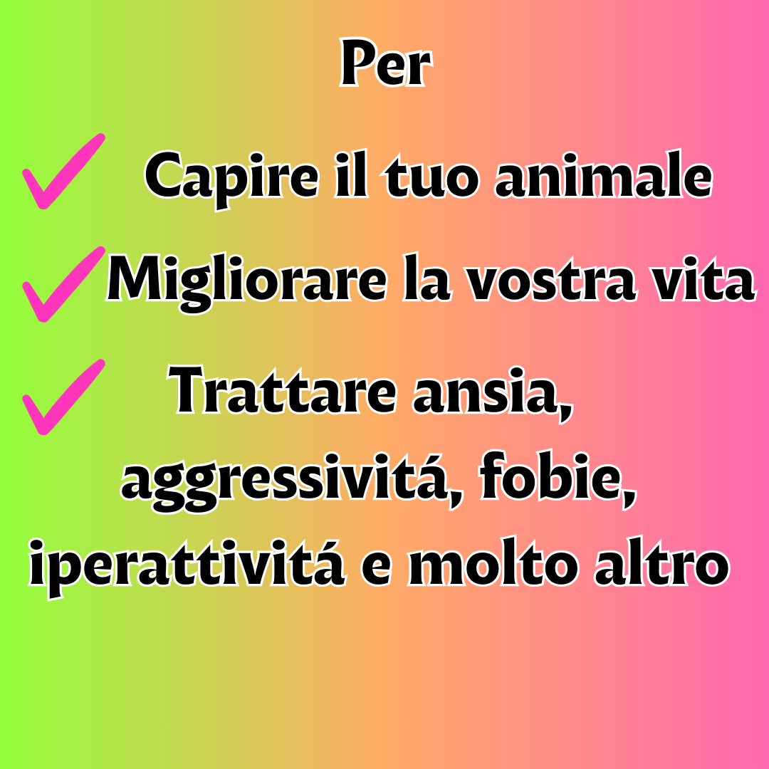visita comportamentale cane