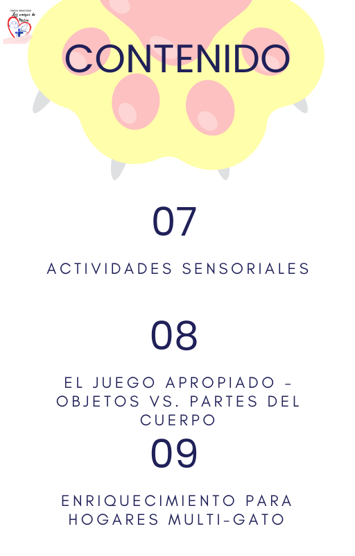 Enriquecimiento ambiental para gatos - Guía Completa de Bienestar Felino - Imagen 4